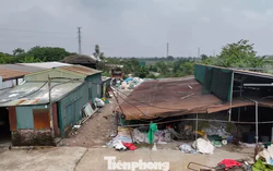 Hà Nội xử lý hàng trăm trường hợp vi phạm trên đất nông nghiệp