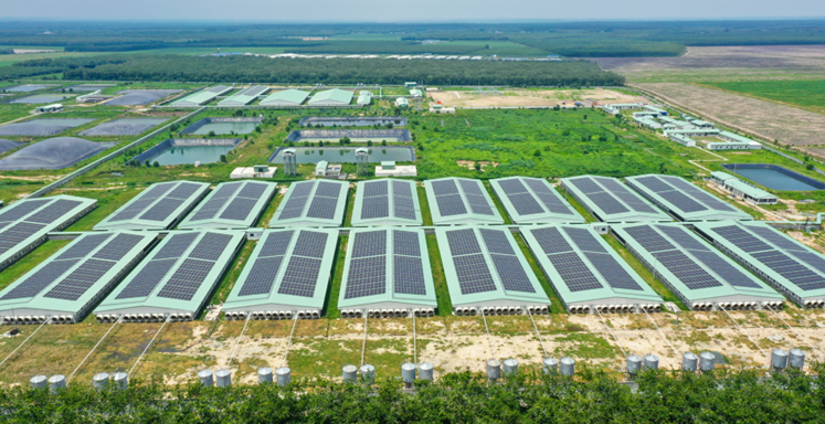 Baf Việt Nam thành lập công ty con chế biến thực phẩm tại Gia Lai- Ảnh 1. Baf Việt Nam thành lập công ty con chế biến thực phẩm tại Gia Lai- Ảnh 1.