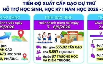 Hoàn thành xuất gạo dự trữ hỗ trợ học sinh tại Cao Bằng, Bắc Ninh