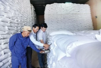 Cục Dự trữ Nhà nước bán đấu giá hơn 128.000 tấn gạo dự trữ quốc gia nhập kho đợt 1 năm 2025