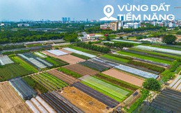 Toàn cảnh dự án Khu đô thị công viên công nghệ số trị giá hơn 3,3 tỷ USD của FPT: Rộng gấp 2 lần phố cổ Hà Nội, sẽ là nơi làm việc của 75.000 người
