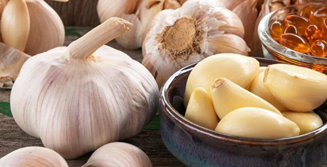 Cụ ông Nhật Bản 79 tuổi gần như không ốm vặt nhờ một loại tỏi, nghiên cứu phát hiện khả năng chống oxy hóa tăng gấp 6 lần- Ảnh 3.