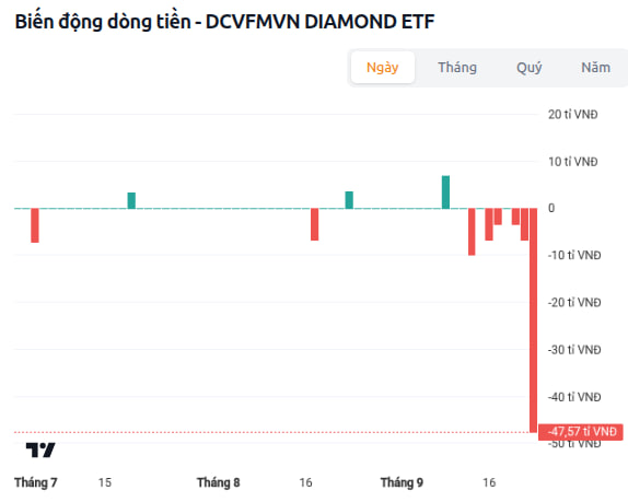 Quỹ nắm những Quỹ nắm những