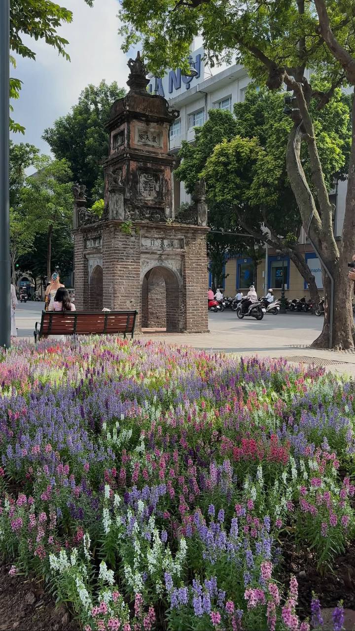 “Quyết không để các nàng thơ nhàm chán”: Hồ Gươm lại thay thảm hoa mới, Hà Nội dạo này thơ thế nhỉ! - Ảnh 30.