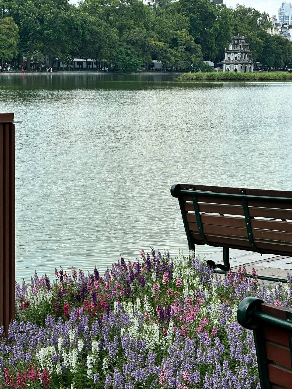 “Quyết không để các nàng thơ nhàm chán”: Hồ Gươm lại thay thảm hoa mới, Hà Nội dạo này thơ thế nhỉ! - Ảnh 29.