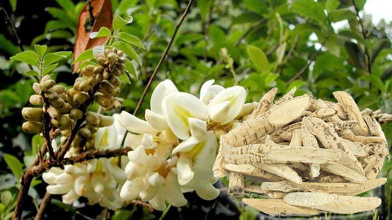 Dù bị can ngăn, anh nông dân quyết trồng loại củ ở độ sâu 20cm: 5 năm sau "báu vật tiền tỷ" xuất hiện - Ảnh 2.