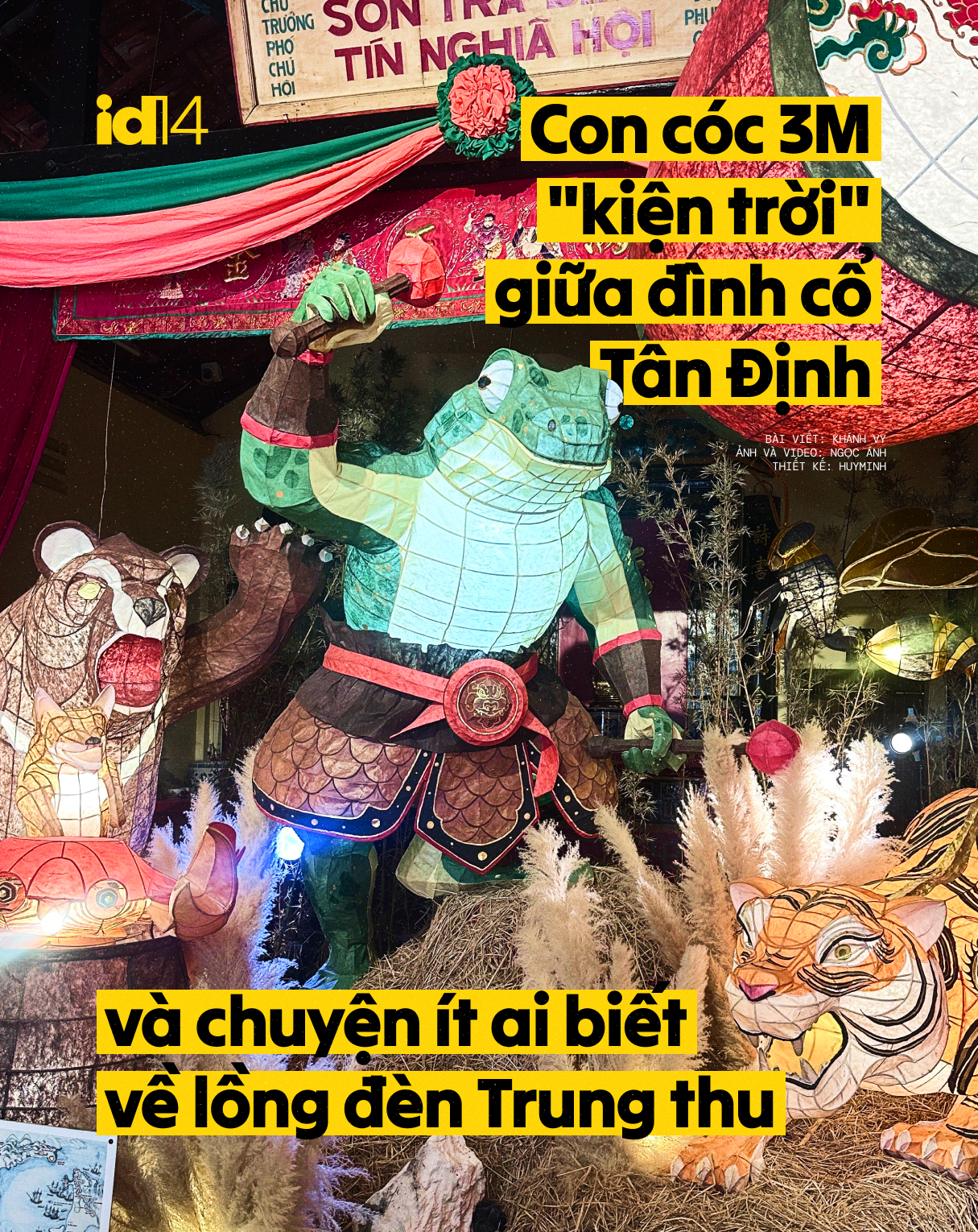 Con cóc 3m