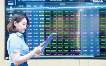 Cắt giảm thủ tục nhưng không hạ thấp yêu cầu quản lý