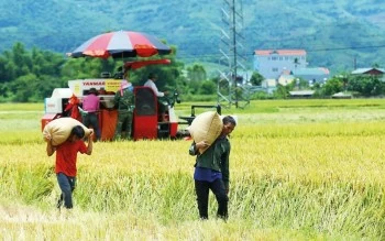 Chương trình mục tiêu quốc gia: Khẩn trương đưa vốn đến nơi cần Chương trình mục tiêu quốc gia: Khẩn trương đưa vốn đến nơi cần