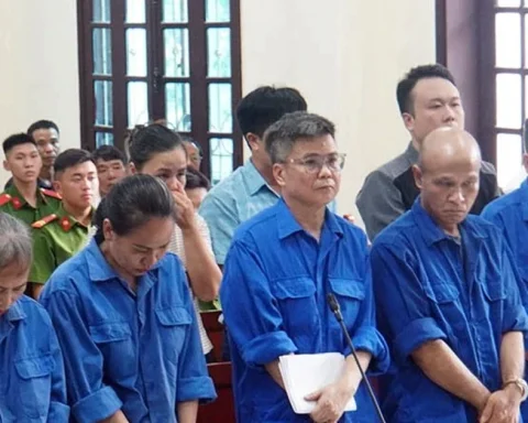 Nguyên Tổng giám đốc Công ty CP Đồ hộp Hạ Long lĩnh 19 năm tù