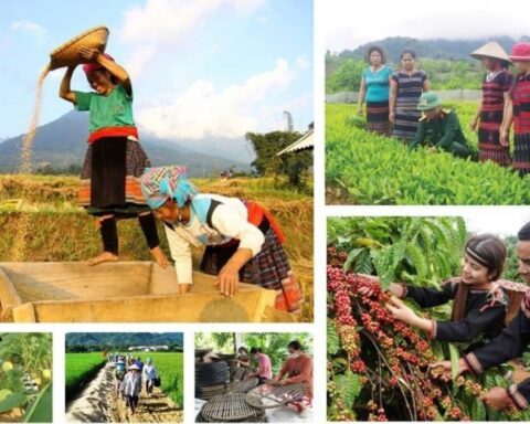 Sẽ có khung chính sách mới cho chương trình mục tiêu quốc gia
