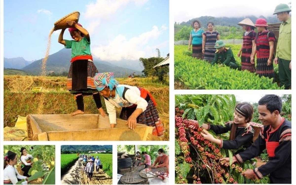 Sẽ có khung chính sách mới cho chương trình mục tiêu quốc gia