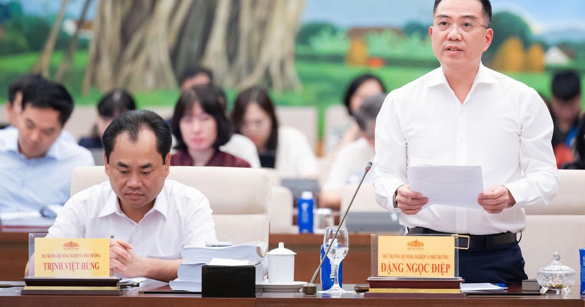 Sửa Luật Đất đai: Đề xuất thêm phương án tái định cư cho người bị thu hồi đất