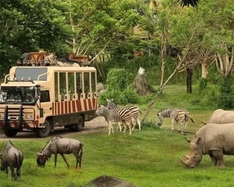 Hà Nội tiếp nhận ý kiến của người dân về dự án Safari Ba Vì