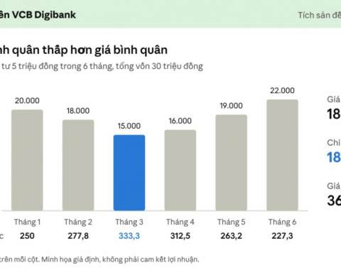 Đầu tư định kỳ: Lời giải cho bài toán “có tiền nhàn rỗi nhưng không có thời gian”