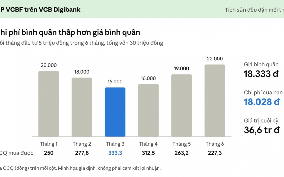 Đầu tư định kỳ: Lời giải cho bài toán “có tiền nhàn rỗi nhưng không có thời gian”