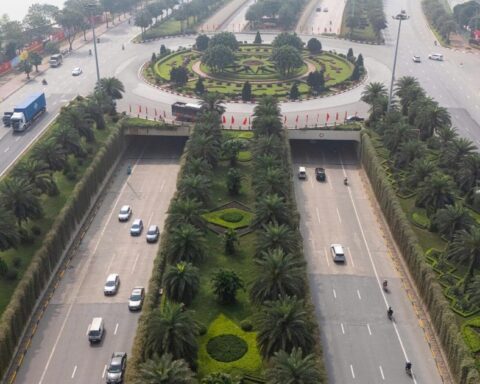 Hà Nội dự kiến trồng cây phủ xanh trụ đường sắt, cầu vượt và hầm chui