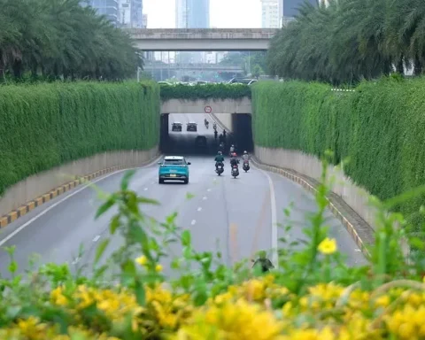 Hà Nội thí điểm phủ xanh trụ cầu đường sắt, hầm chui và nhà chờ xe buýt