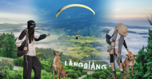 “Hướng dẫn viên” ở Đà Lạt được du khách lập hẳn địa danh riêng trên Google Maps dù chưa từng nhận một đồng lương