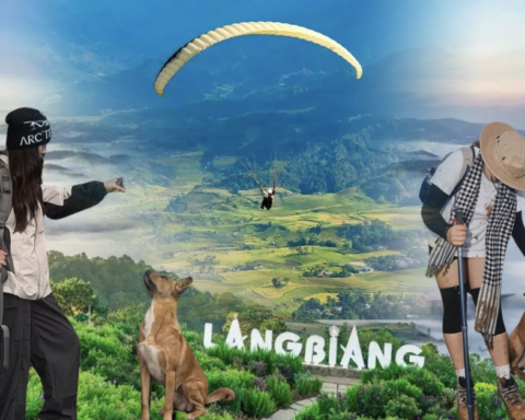 “Hướng dẫn viên” ở Đà Lạt được du khách lập hẳn địa danh riêng trên Google Maps dù chưa từng nhận một đồng lương