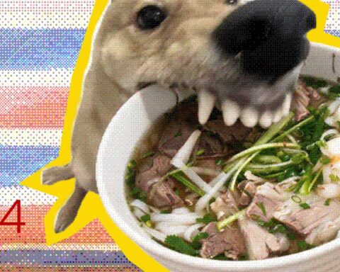 Nghệ thuật Comfort Food: Tại sao khi cô đơn, chúng ta lại thèm một bát phở nóng?