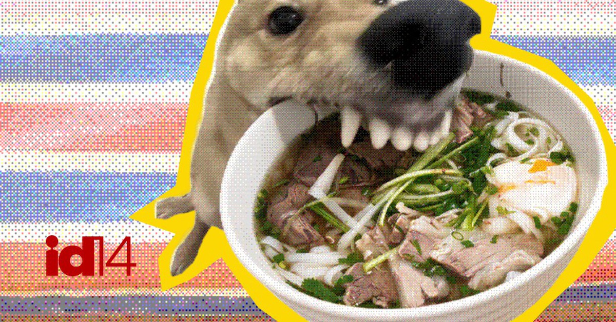 Nghệ thuật Comfort Food: Tại sao khi cô đơn, chúng ta lại thèm một bát phở nóng?