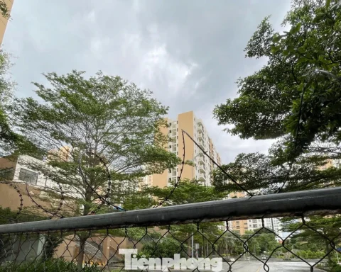 Thời điểm đưa 3.790 căn hộ tái định cư Thủ Thiêm ra đấu giá