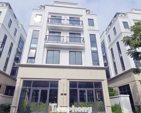Đất bỏ hoang có thể chịu thuế 0,2%: Thí điểm trước khi áp dụng rộng rãi