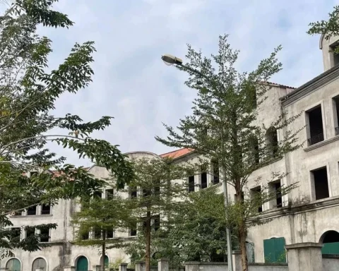 Đất trong bao lâu không sử dụng thì bị coi là bỏ hoang?