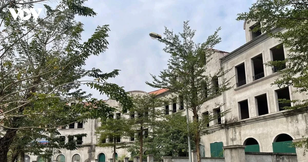 Đất trong bao lâu không sử dụng thì bị coi là bỏ hoang?