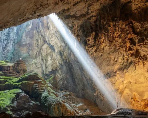 Giả mạo website Oxalis để lừa bán tour Sơn Đoòng