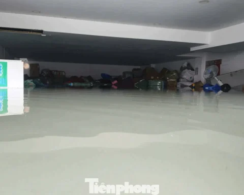 Tầng hầm biệt thự, ngân hàng ở TPHCM ngập sâu, nhiều tài sản ngâm trong nước