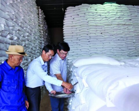 Chi cục Dự trữ Nhà nước khu vực II: Xuất cấp kịp thời, bảo đảm an toàn nguồn lực dự trữ quốc gia