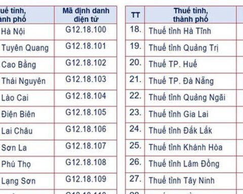 Cơ quan thuế các cấp dùng mã định danh điện tử mới từ tháng 10/2026
