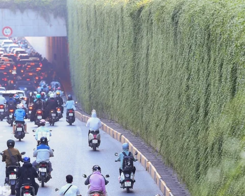 Những hầm chui Hà Nội trước ngày phủ xanh