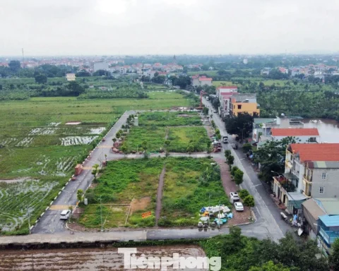 Quy định thế nào là đất bỏ hoang, bị đánh thuế?