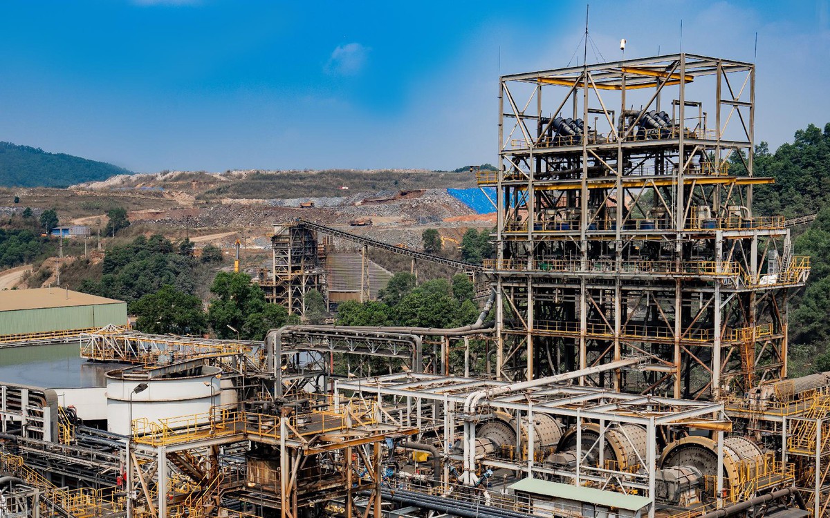 6.000 đồng/cổ phiếu năm 2026: MSR đặt nền móng cho chính sách cổ tức tiền mặt dài hạn