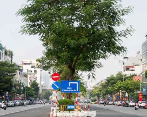 Nút thắt phố Ô Chợ Dừa thay đổi ra sao sau khi mở rộng?