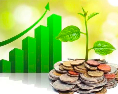Lịch chốt quyền cổ tức tuần 12-16/10: Ba công ty cùng trả cổ tức tiền mặt 15%