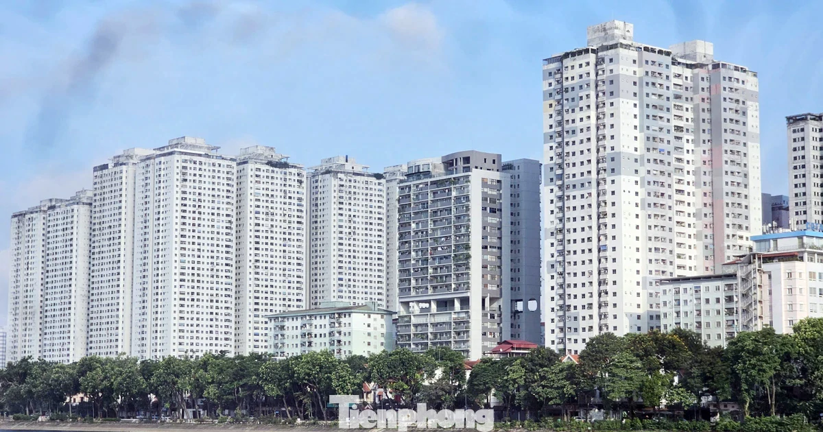 Xử lý 18 000 căn hộ sai quy hoạch tại 12 dự án ông Lê Thanh Thản: ‘Không phải hợp thức vi phạm’