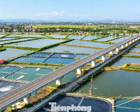 Đường ven biển gần 2.000 tỷ nối Thanh Hóa – Ninh Bình sắp khai thác