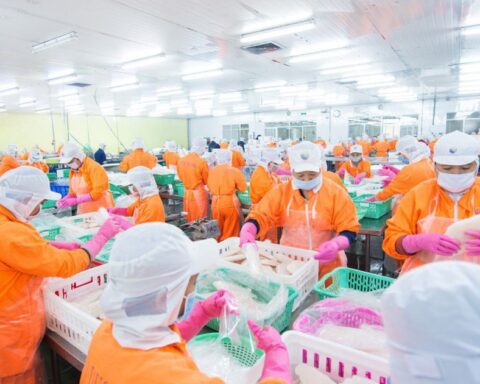 Nam Việt chia cổ tức bằng tiền mặt tỷ lệ 10%