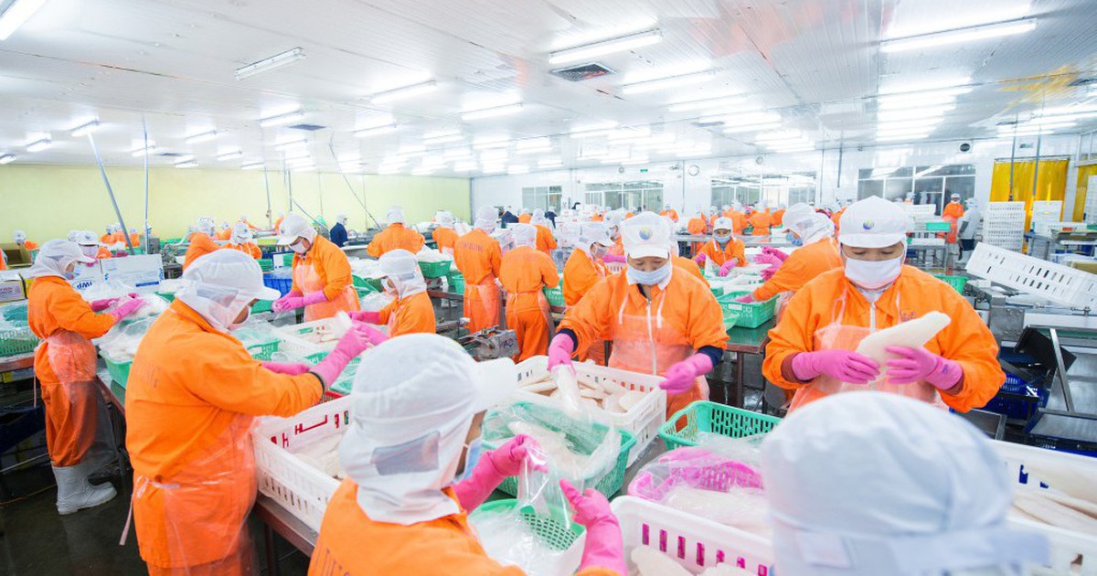 Nam Việt chia cổ tức bằng tiền mặt tỷ lệ 10%