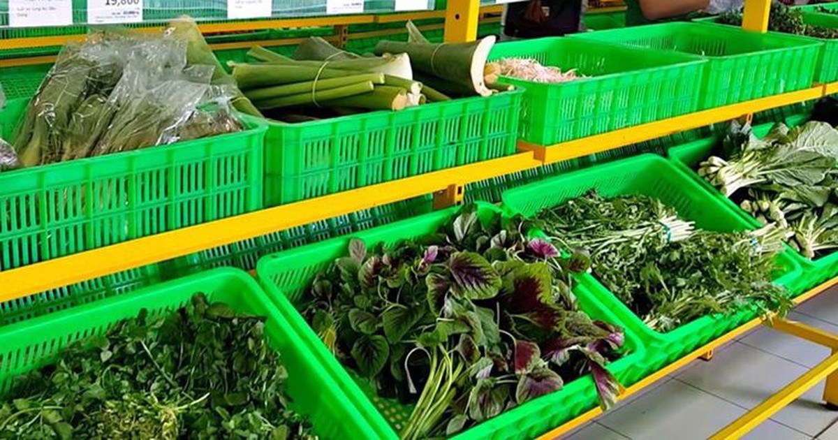 Một “đại gia” tuyển người cùng bán rau, thu nhập có thể lên đến 30 triệu đồng