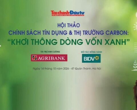 Thị trường carbon: Từ giá trị giảm phát thải đến dòng vốn xanh