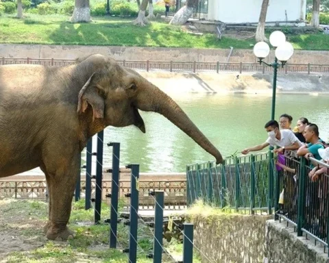 Quy hoạch một phần Công viên Thủ Lệ sang mô hình ‘trải nghiệm sinh cảnh hoang dã tự nhiên’