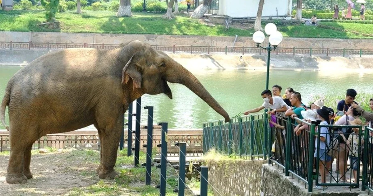 Quy hoạch một phần Công viên Thủ Lệ sang mô hình ‘trải nghiệm sinh cảnh hoang dã tự nhiên’