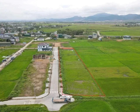 Đấu giá 2 lần không ai mua, 13 lô đất nông thôn dự kiến giảm cả tỷ đồng