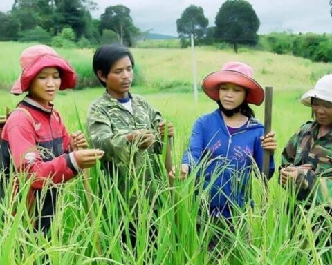Phân cấp mạnh, đưa nguồn lực Chương trình mục tiêu quốc gia đến gần người dân