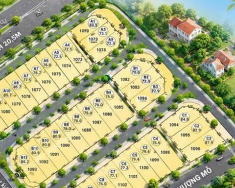 Xã Đan Phượng chuẩn bị đấu giá 36 thửa đất ở